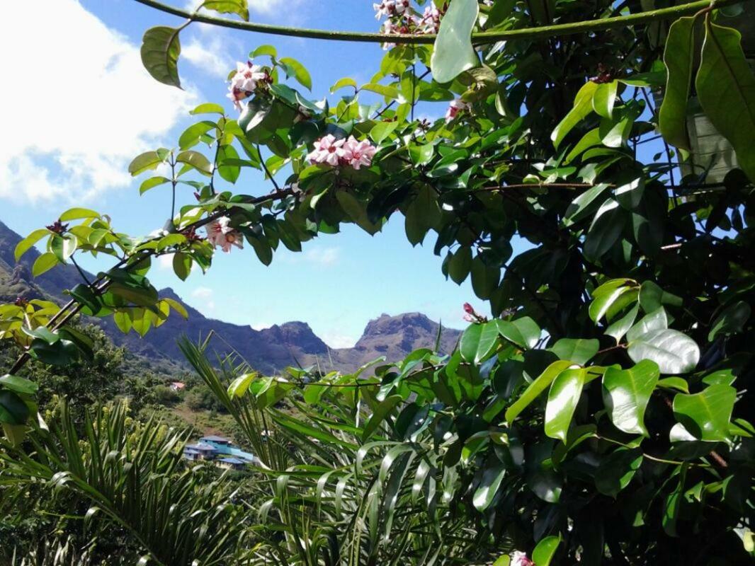 Fare Manutea Hotel Nuku Hiva Luaran gambar